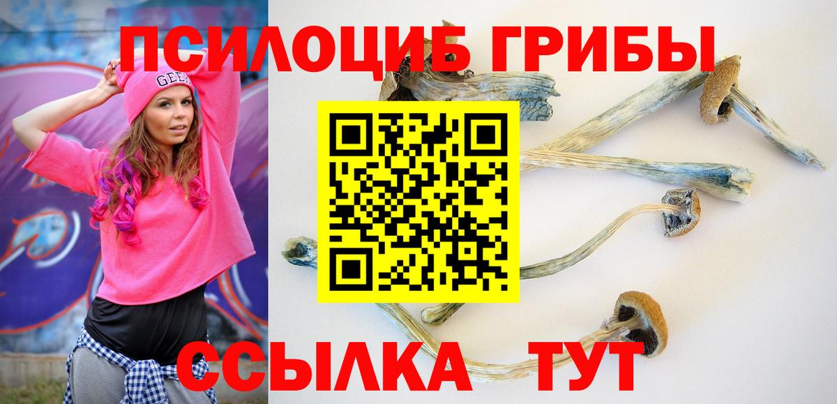 Псилоцибиновые грибы Cubensis  Галлюциногенные грибы GOLDEN TEACHER  Вход с VPN  Губкинский 